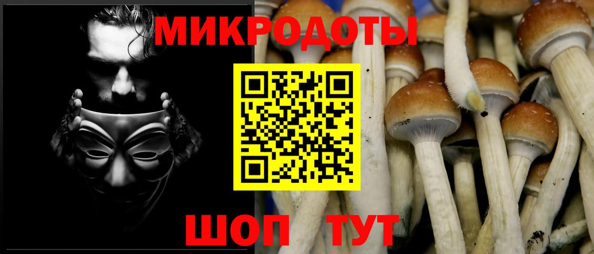 Галлюциногенные грибы мухоморы  Вход с VPN  Курчалой 